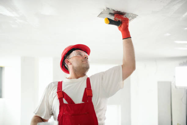 Trusted Lewistown, IL Painting Experts